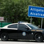 Alligator-gty-er-260625_1782421295299_hpMain_16x9