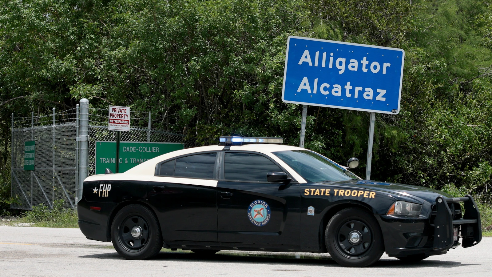 Alligator-gty-er-260625_1782421295299_hpMain_16x9