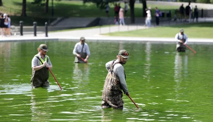algae-dc-1-gty-gmh-260616_1781620177328_hpMain_16x9