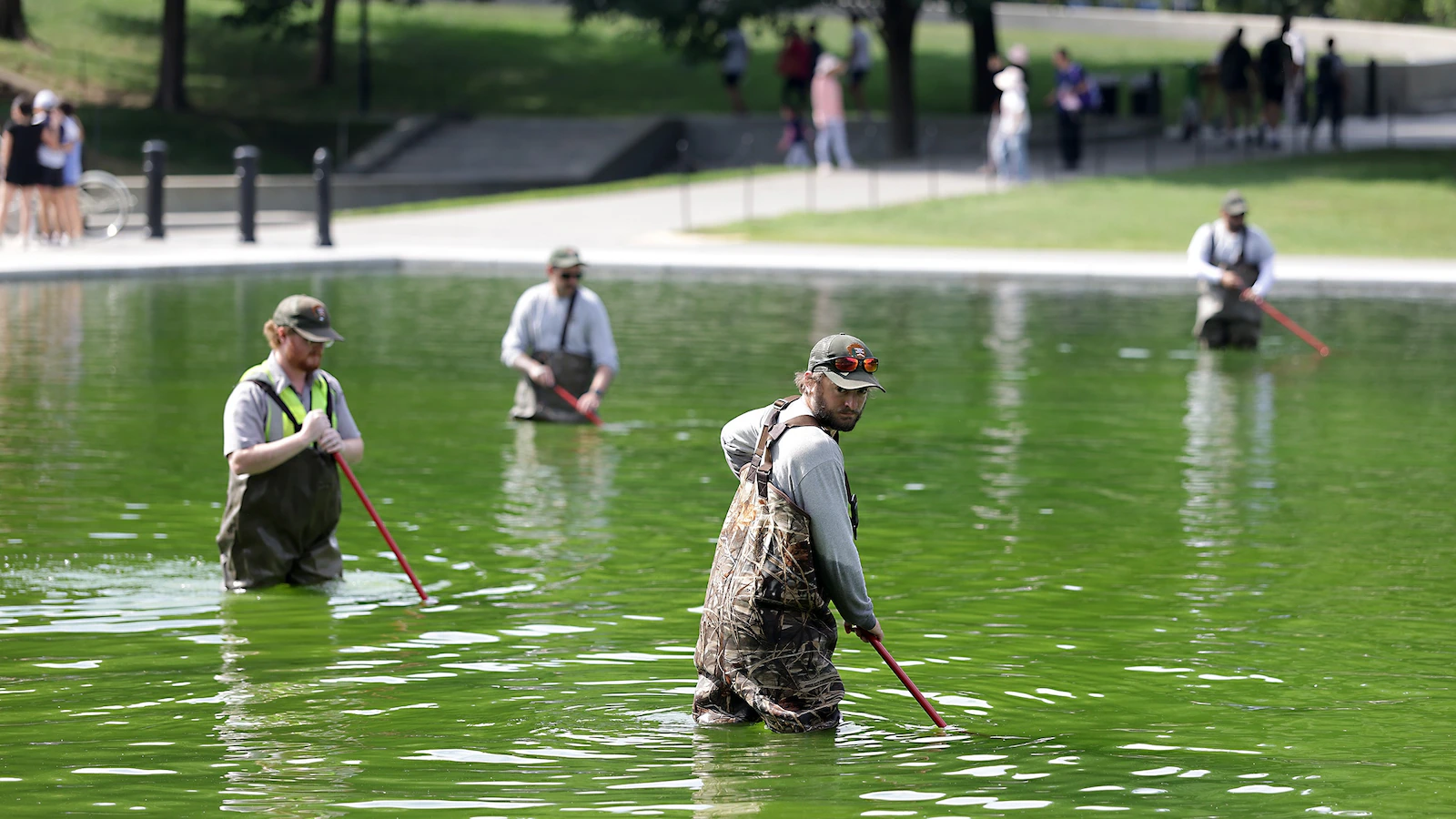 algae-dc-1-gty-gmh-260616_1781620177328_hpMain_16x9