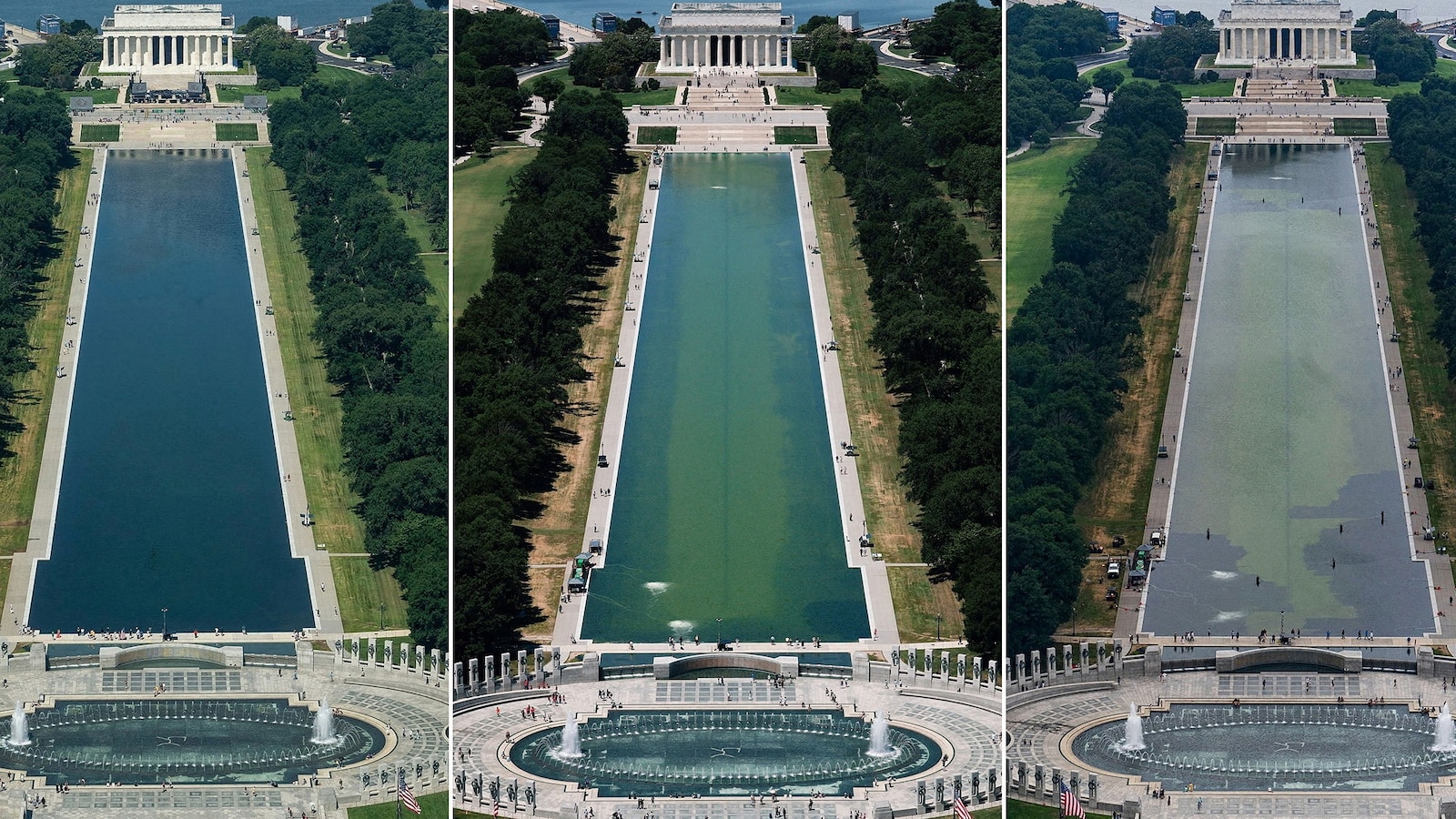 algae-pool-rt-gmh-260619_1781883980834_hpMain_16x9