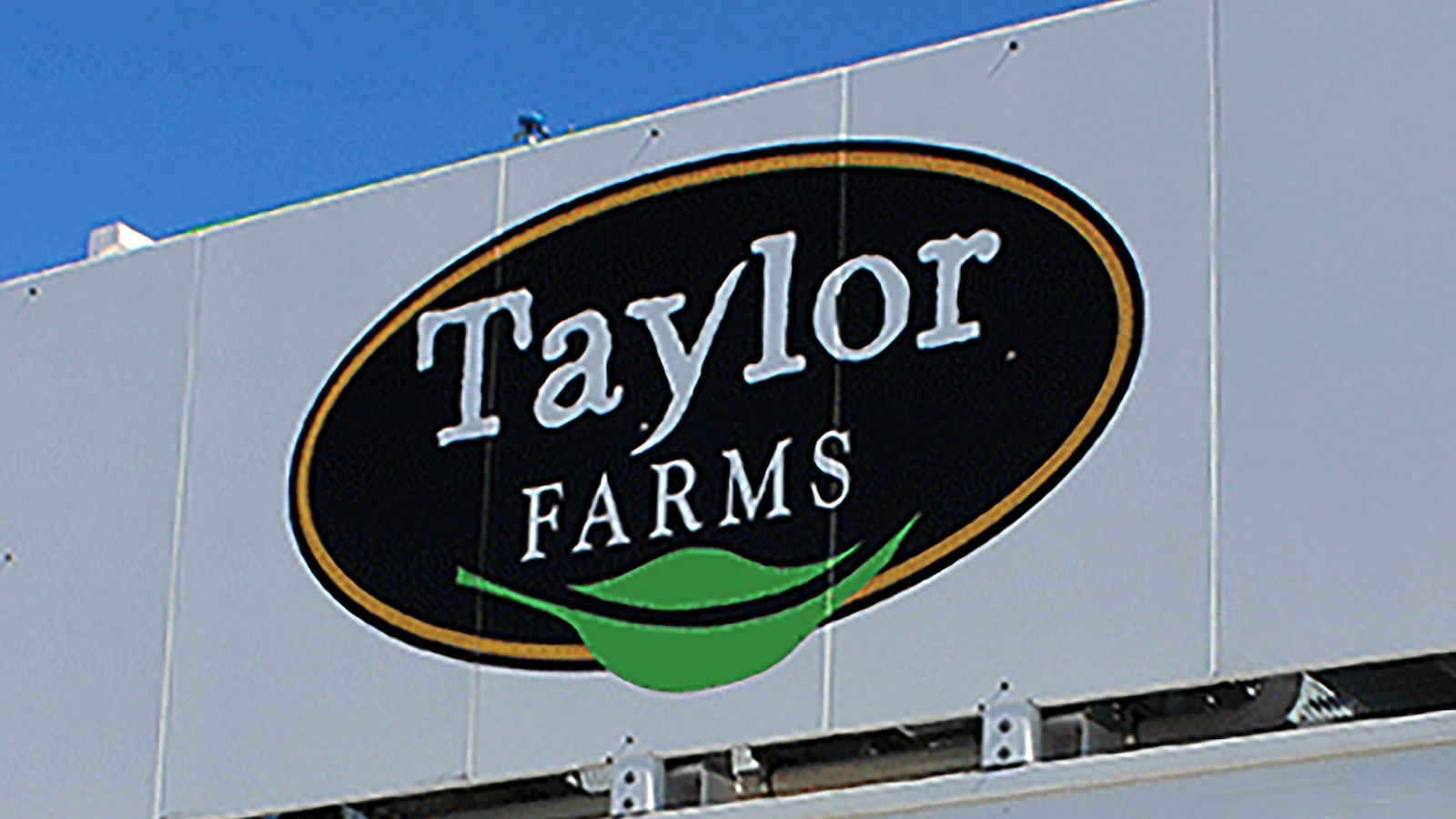taylor-farms-1-ht-gmh-260717_1784318538889_hpMain_16x9
